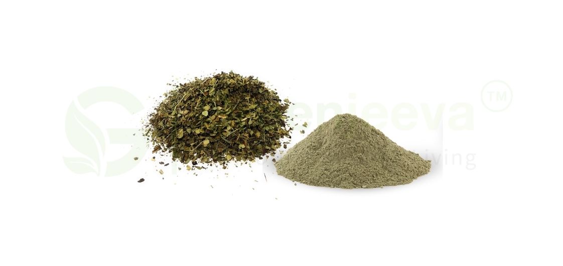 lungwort powder